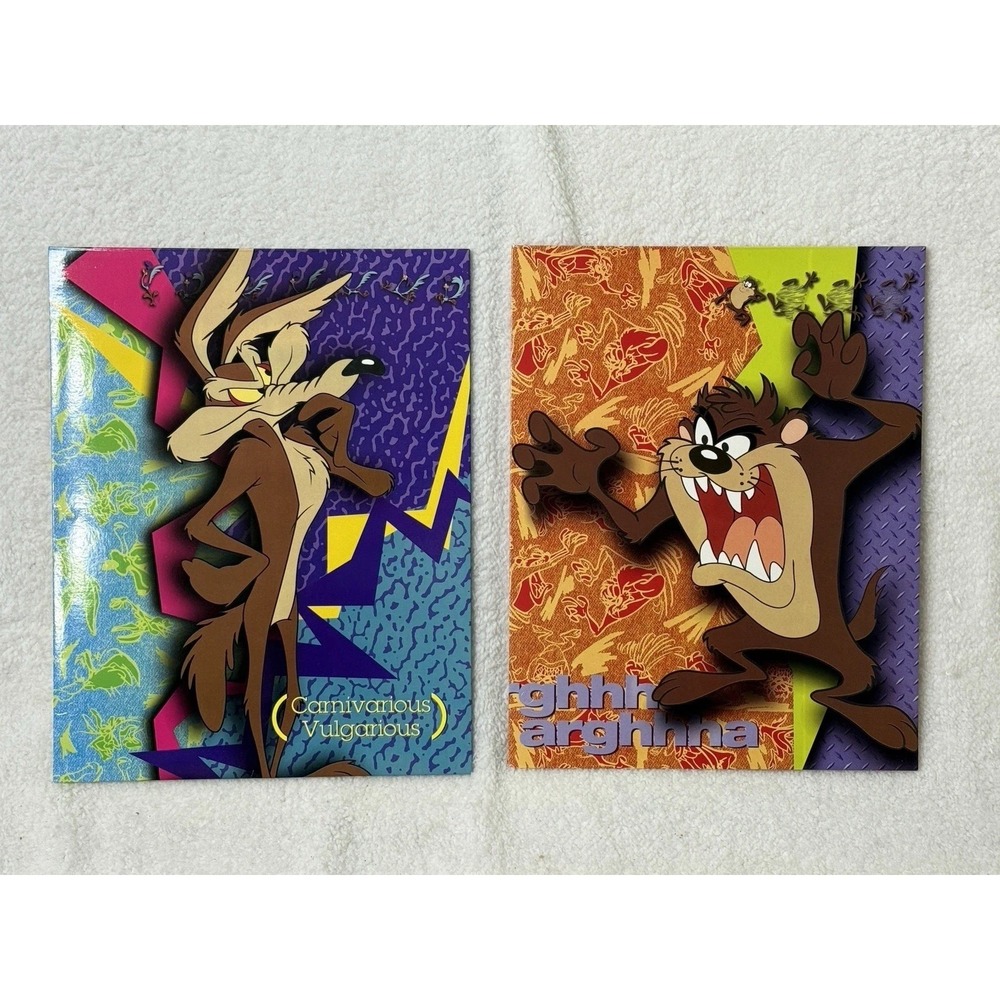 Vintage 90's Looney Tunes School Folder Lot of 2 Stuart Hall Taz Wiley Coyote